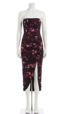 NEW GILNER FARRAR vera dress in moody floral